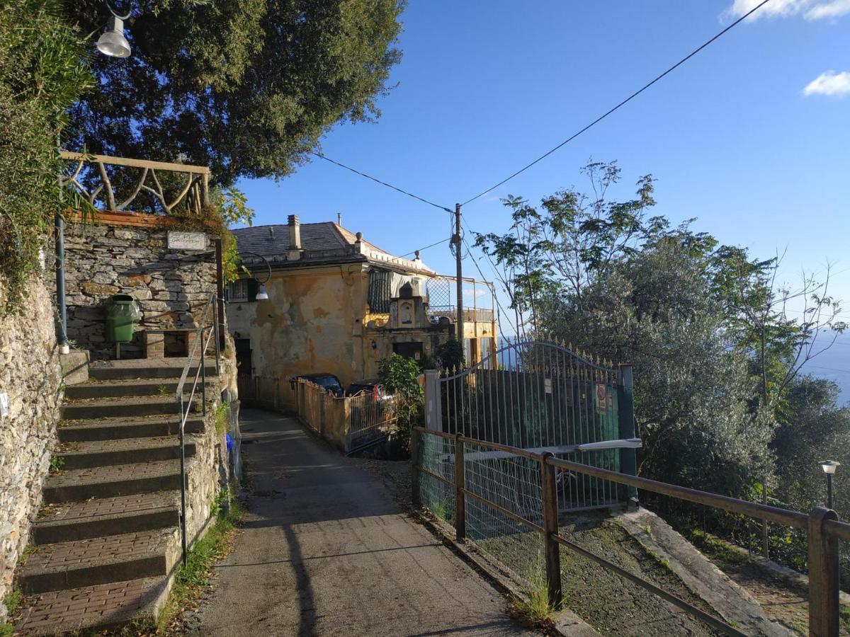 Casaviva - Ampio Trilocale Vista Mare Con Piscina - Pieve Alta Apartment Pieve Ligure Exterior photo